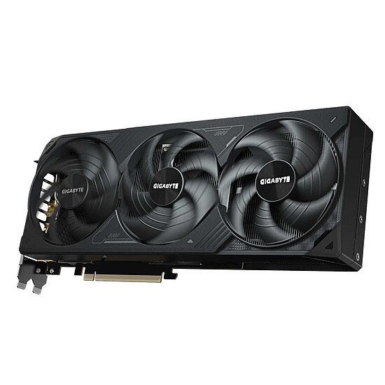 Carte graphique Gigabyte GeForce RTX 5080 WINDFORCE OC SFF 16G - Autre vue