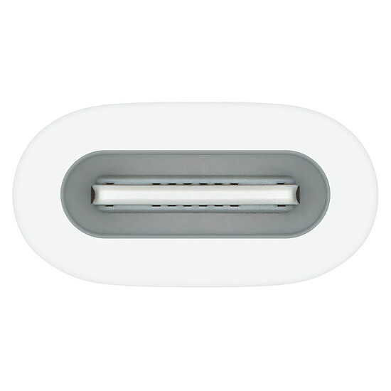 Stylet Apple Adaptateur USB-C pour Apple Pencil (MWML3ZM/A)  - Autre vue