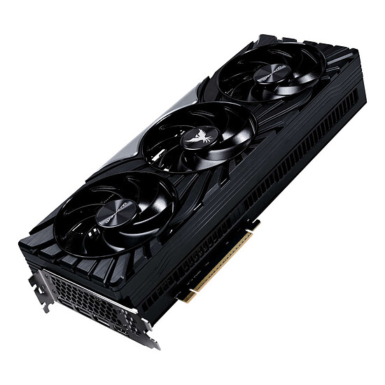 Carte graphique Gainward GeForce RTX 5080 Phoenix GS V1 - Autre vue