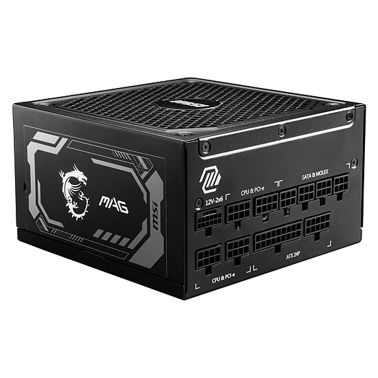 Alimentation PC MSI MAG A1250GL PCIE5 - Autre vue