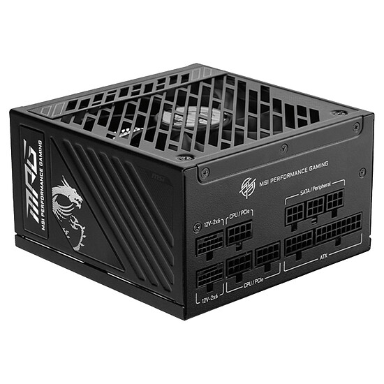 Alimentation PC MSI MPG A1000GS PCIE5 - Autre vue