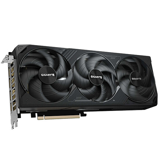 Carte graphique Gigabyte GeForce RTX 5070 Ti WINDFORCE SFF 16G - Autre vue