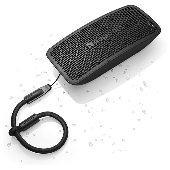 Enceinte sans fil Audio Pro P5 Noir - Enceinte portable - Autre vue