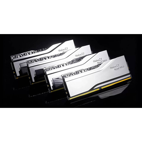 Mémoire RAM G.Skill Trident Z5 Royal Neo - 2 x 24 Go (48 Go) - DDR5 8000 MHz - CL40 - Autre vue