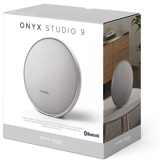 Enceinte sans fil Harman Kardon Onyx Studio 9 Argent - Enceinte portable   - Autre vue