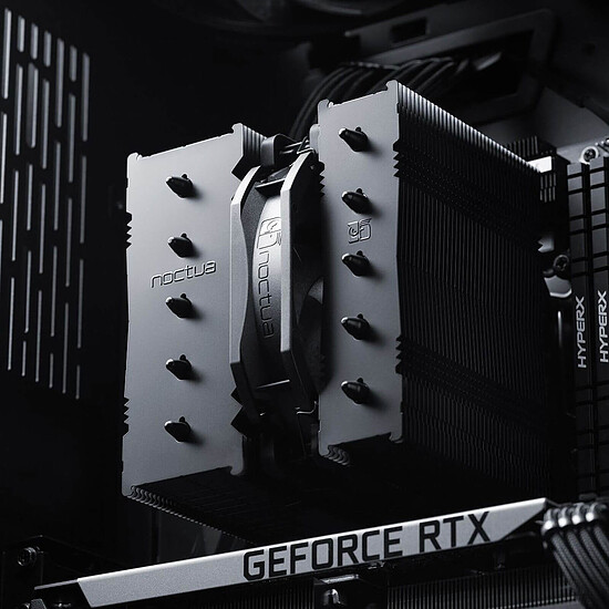 Ventirad Noctua NH-D12L chromax.black - Autre vue