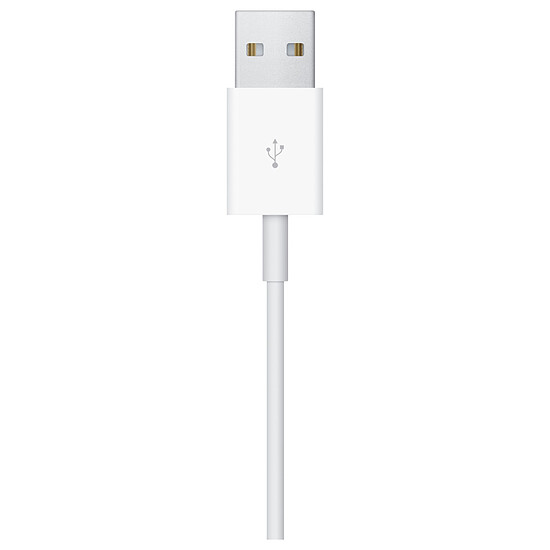 Accessoires montre et bracelet Apple Câble de charge rapide magnétique vers USB-A pour Apple Watch (1 m)  - Autre vue