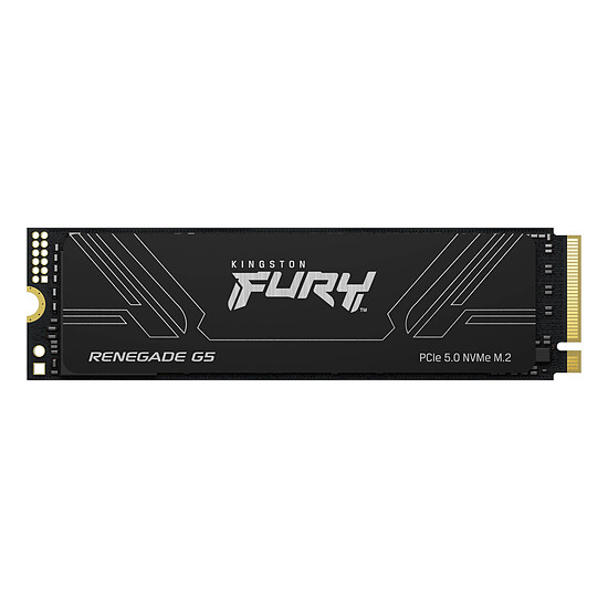Disque SSD Kingston FURY Renegade G5 - 1 To - Autre vue