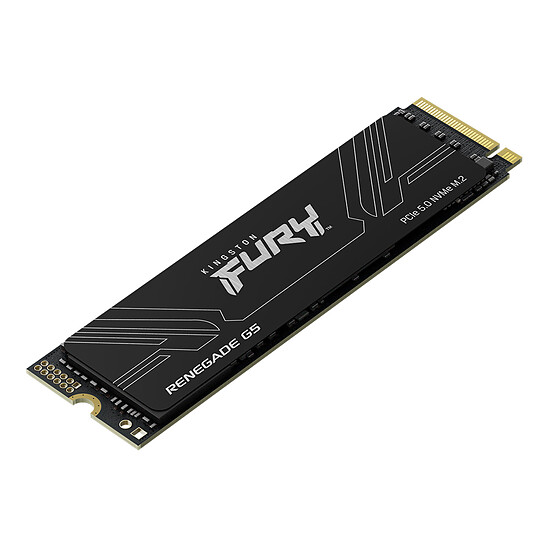 Disque SSD Kingston FURY Renegade G5 - 8 To  - Autre vue