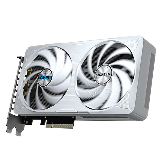 Carte graphique Gigabyte GeForce RTX 5060 Ti EAGLE OC ICE 16G  - Autre vue