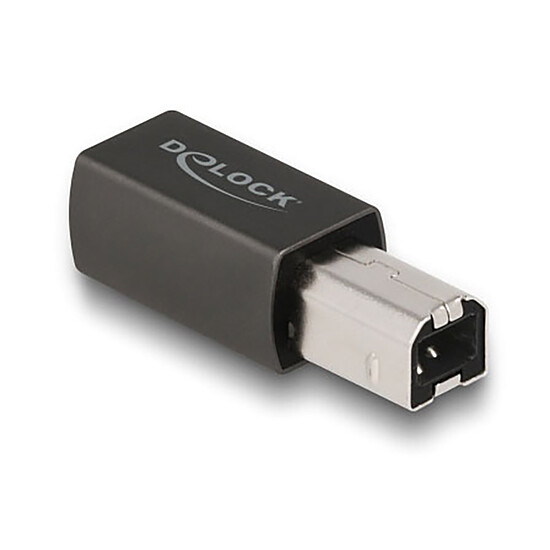 Câble USB DeLock Adaptateur USB 2.0 USB-B vers USB-C - Autre vue