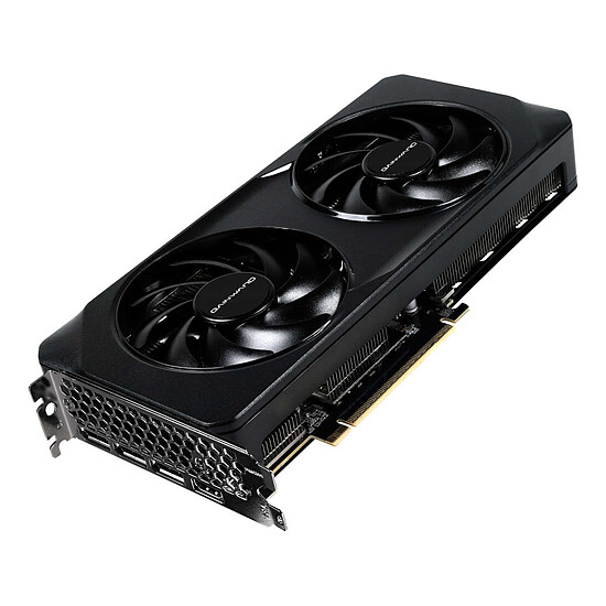 Carte graphique Gainward GeForce RTX 5060 Ghost  - Autre vue