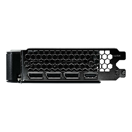 Carte graphique Gainward GeForce RTX 5060 Ghost  - Autre vue