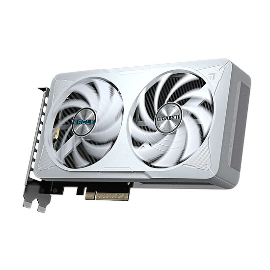 Carte graphique Gigabyte GeForce RTX 5060 EAGLE OC ICE 8G - Autre vue