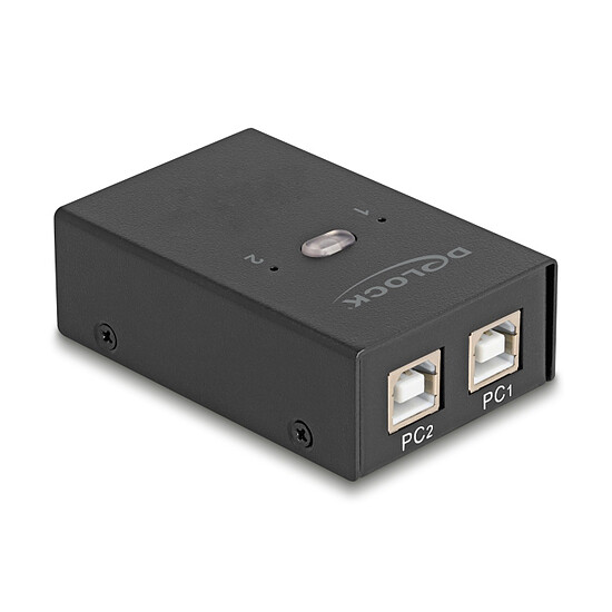 Accessoires USB DeLock Commutateur 2 PC vers 4 périphériques USB 2.0 avec 2 entrées USB-B / 4 sorties USB-A - Autre vue