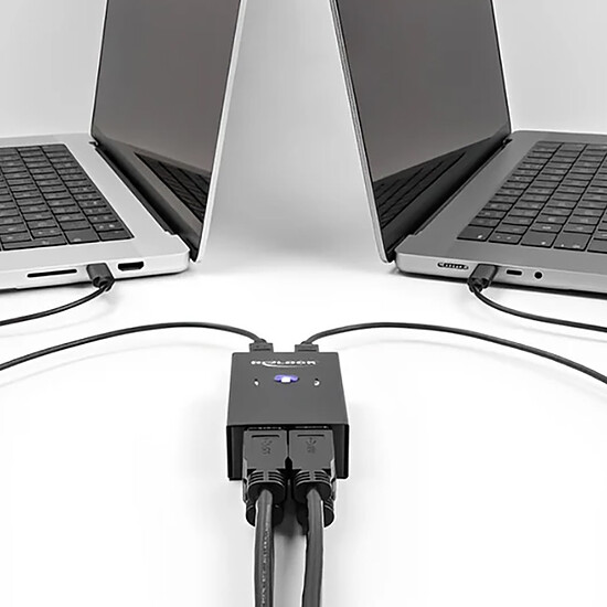 Accessoires USB DeLock Commutateur 2 PC vers 4 périphériques USB 2.0 avec 2 entrées USB-B / 4 sorties USB-A - Autre vue