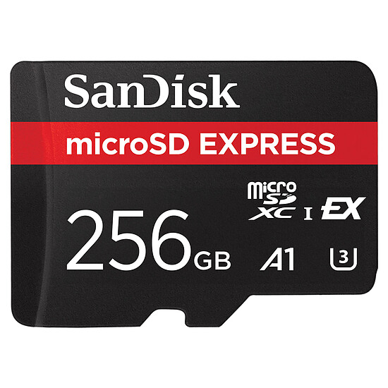 Carte micro SD SanDisk Express microSDXC 256 Go - Autre vue