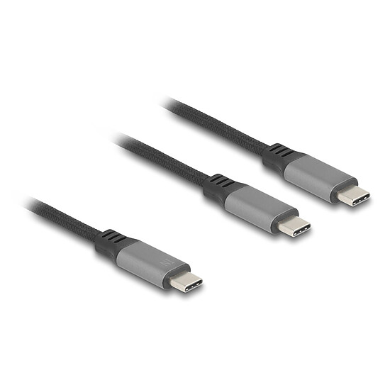 Câble USB DeLock Câble de recharge 1 USB-C vers 2 USB-C avec Power Delivery 3.0 100W 5A Noir -  1.2 m - Autre vue