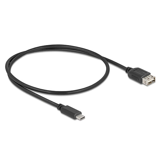 Câble USB DeLock USB-C / USB-A 2.0 - 0.5 m - Autre vue