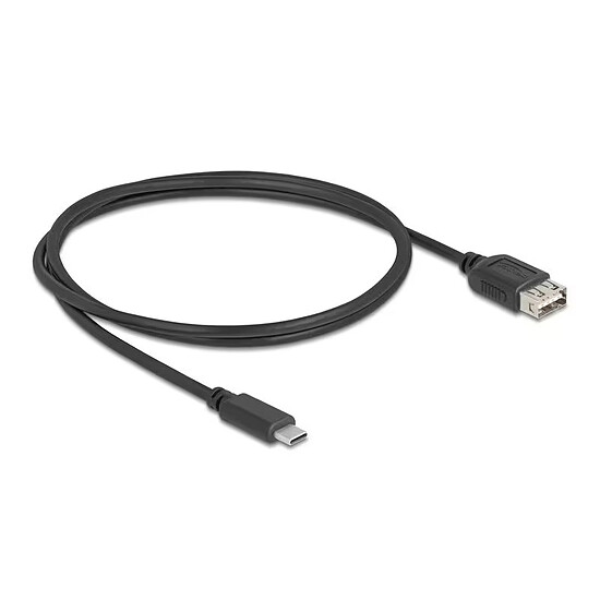 Câble USB DeLock USB-C / USB-A 2.0 - 1 m - Autre vue