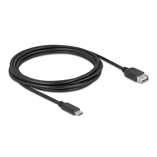 Câble USB DeLock USB-C / USB-A 2.0 - 3 m - Autre vue