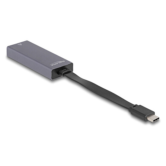 Câble USB DeLock Adaptateur USB Type-C vers RJ-45 2.5 Gbps - Autre vue
