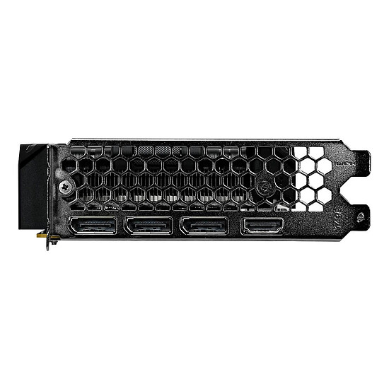 Carte graphique Gainward GeForce RTX 5050 Pegasus - Autre vue