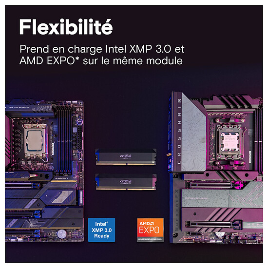Mémoire RAM Crucial Pro DDR5 Overclocking - 2 x 16 Go (32 Go) -  6400 MHz - CL38 - Autre vue