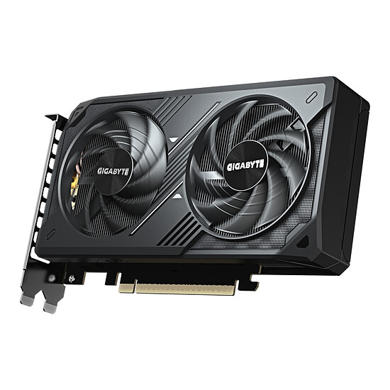 Carte graphique Gigabyte GeForce RTX 5060 WINDFORCE MAX OC 8G - Autre vue