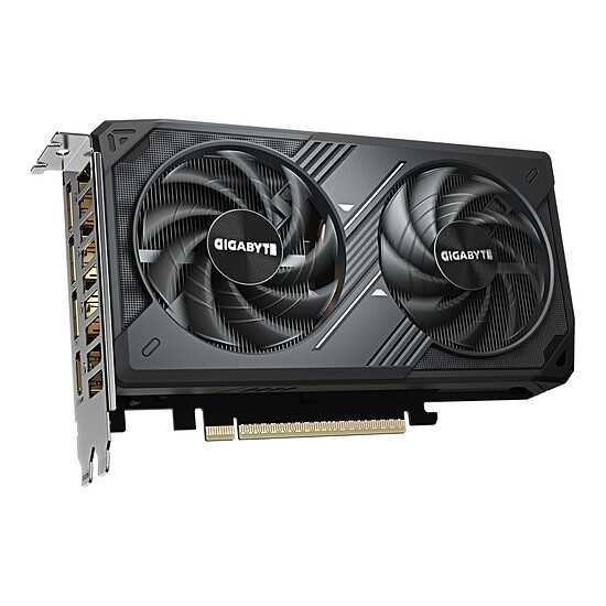 Carte graphique Gigabyte GeForce RTX 5060 WINDFORCE MAX OC 8G V2 - Autre vue