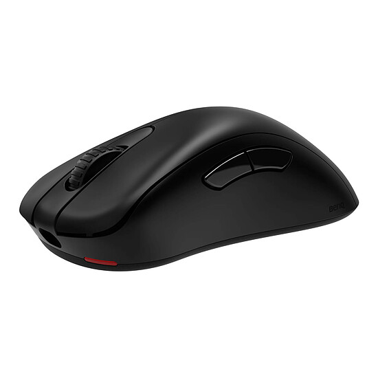 Souris PC Zowie EC1-DW - taille L - Autre vue