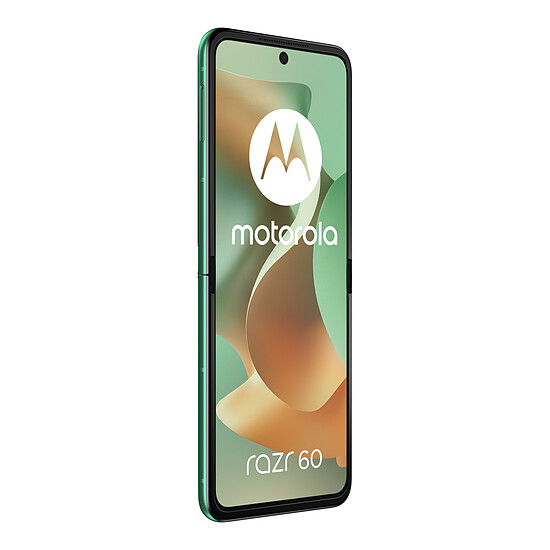 Smartphone Motorola Razr 60 SpringBud - 256 Go - 8 Go - Autre vue