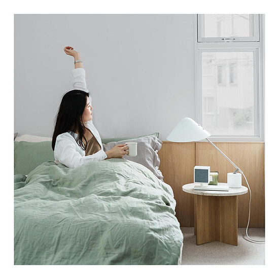 Enceinte sans fil Tivoli Audio Revive Noyer/Gris - Autre vue