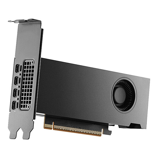 Carte graphique pro PNY NVIDIA RTX PRO 2000 Blackwell - Autre vue