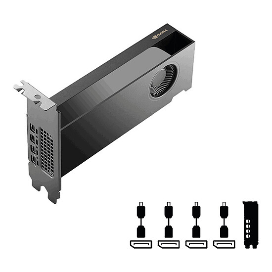 Carte graphique pro PNY NVIDIA RTX PRO 2000 Blackwell - Autre vue