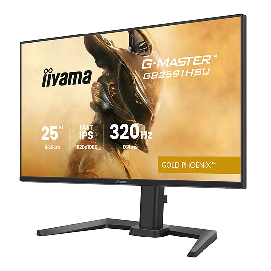 Écran PC iiyama G-Master GB2591HSU-B1 Gold Phoenix - Autre vue