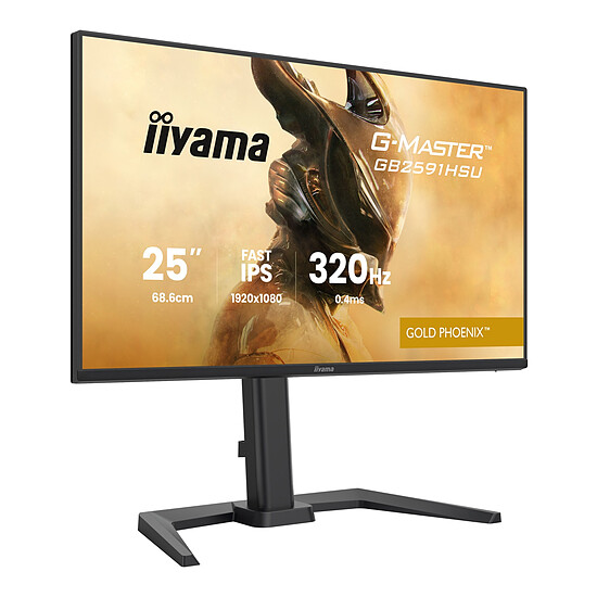 Écran PC iiyama G-Master GB2591HSU-B1 Gold Phoenix - Autre vue