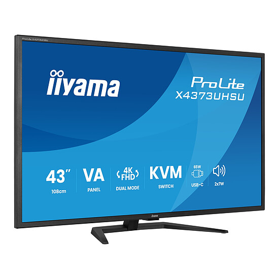Écran PC iiyama  ProLite X4373UHSU-B2 - Autre vue