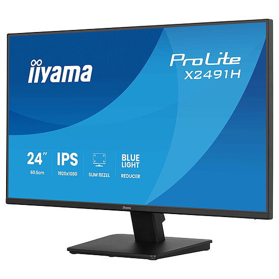 Écran PC iiyama  ProLite X2491H-B1 - Autre vue