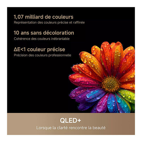 TV Dreame 75S100 - TV 4K UHD HDR - 189 cm   - Autre vue