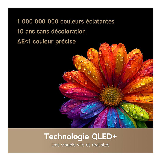 TV Dreame 43Q100 - TV 4K UHD HDR - 108 cm - Autre vue