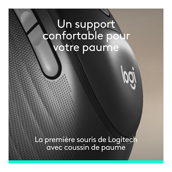 Souris PC Logitech Signature Comfort Plus M850 L - Graphite - Autre vue