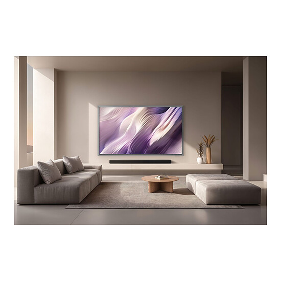 TV Samsung OLED TQ65S99H + Boitier sans fil One Connect + Support Mural - Autre vue