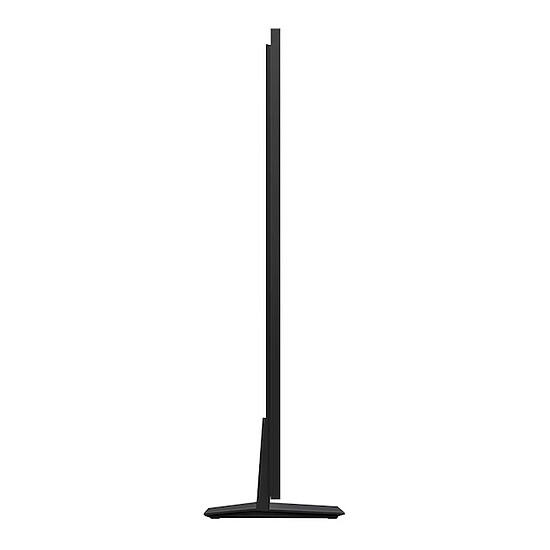TV Samsung Micro RGB TMR75R95H - Autre vue