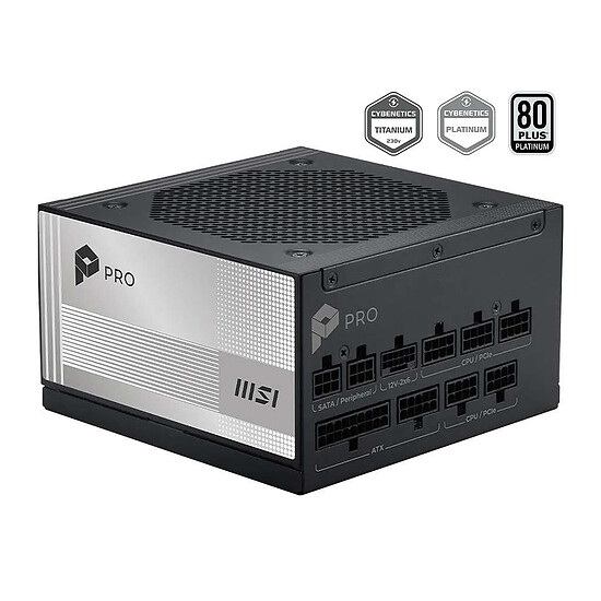 Alimentation PC MSI PRO A1000PL PCIE5 - Autre vue