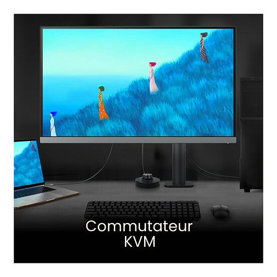 Écran PC BenQ 27" LED - PD2706UA - Autre vue