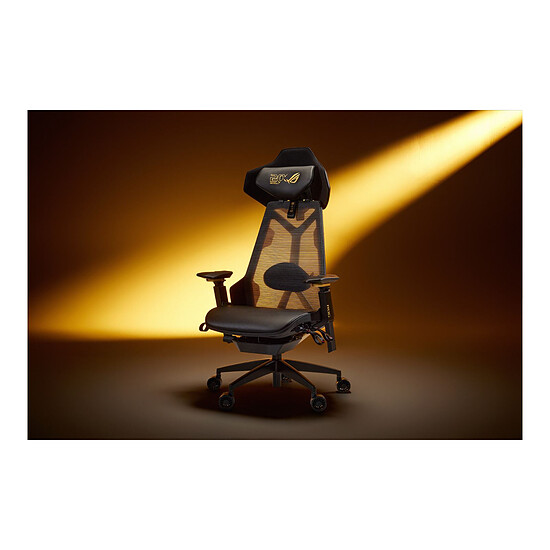Fauteuil gamer ASUS ROG Destrier Edition 20 - Autre vue