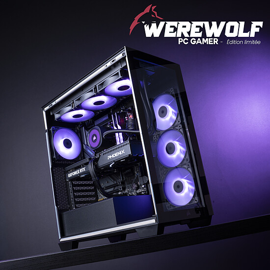 PC de bureau PC Gamer Werewolf - Win11 installé (version d'essai) - Autre vue
