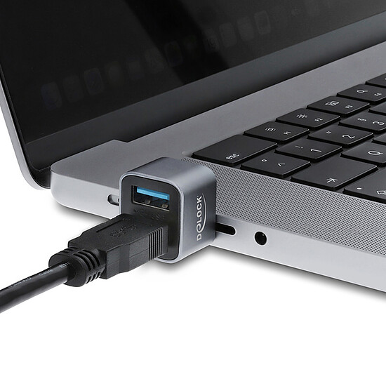 Hub USB DeLock Mini Hub USB 10 Gbps Type-C vers USB-A 10 Gbps et USB-A 2.0 - Autre vue