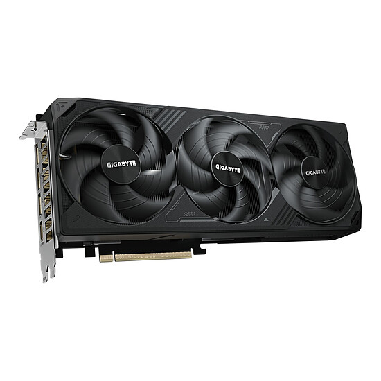 Carte graphique Gigabyte GeForce RTX 5080 WINDFORCE OC V2 SFF 16G - Autre vue